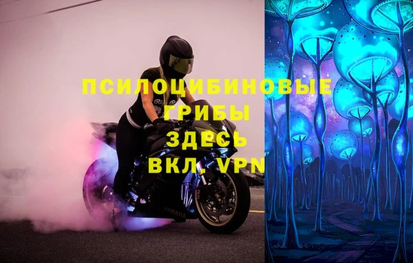 метамфетамин Белокуриха